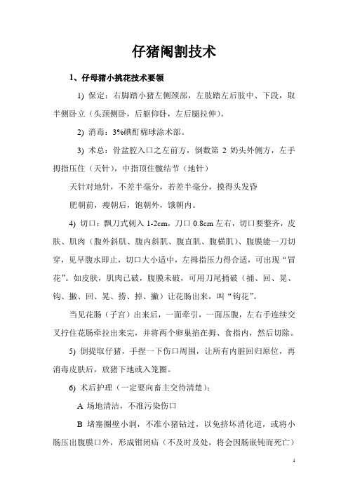 仔猪阉割技术