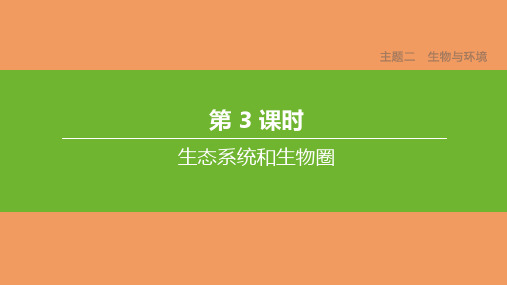 中考生物复习方案主题二生物与环境第03课时生态系统和生物圈课件