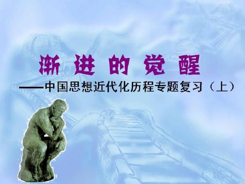 渐进的觉醒----中国近代政体变革的艰难历程