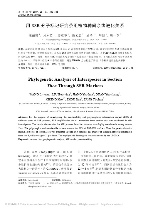 用SSR分子标记研究茶组植物种间亲缘进化关系