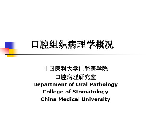 第一章口腔颌面部发育