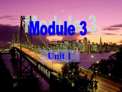 外研版九年级下(新)Module3 Unit1课件