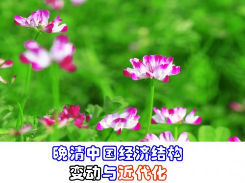 中国近代经济结构的变动