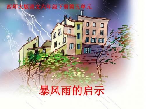 第17课 暴风雨的启示
