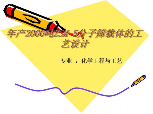 毕业论文答辩年产2000吨ZSM-5分子筛载体的工艺设计