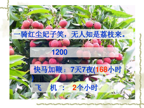 浙教版小学五年级品德与社会下册《日新月异的交通》PPT课件