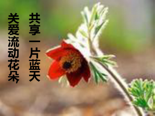 教师沙龙PPT