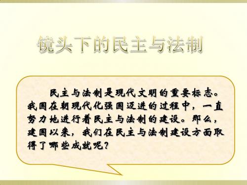 民主与法制建设的成就