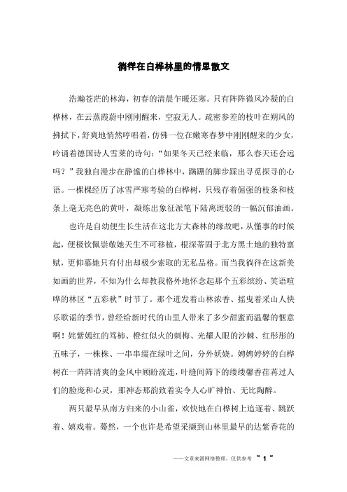 徜徉在白桦林里的情思散文