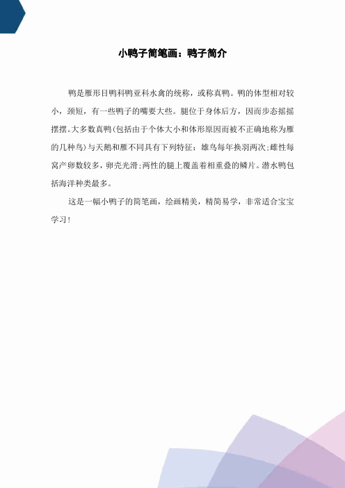 小鸭子简笔画：鸭子简介