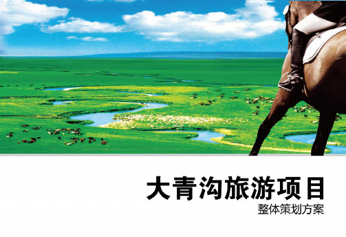 内蒙古通辽市大青沟旅游项目整体策划方案