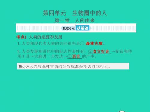 聊城专版山东省2019年中考生物总复习第四单元生物圈中的人第一章人的由来课件