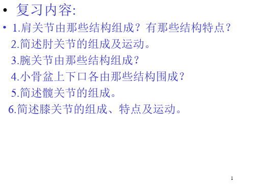 肌学总论躯干肌1PPT课件