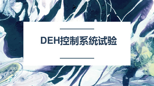 DEH控制系统试验