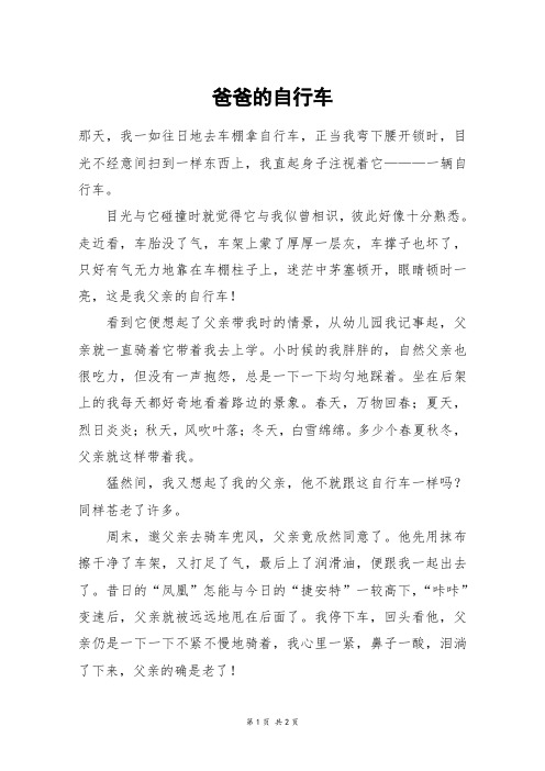 爸爸的自行车_初三作文