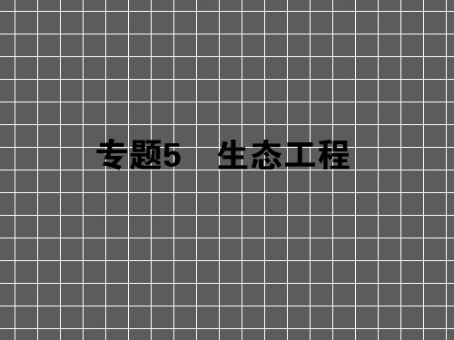 2013届高考新课标生物一轮复习课件选修3.5生态工程
