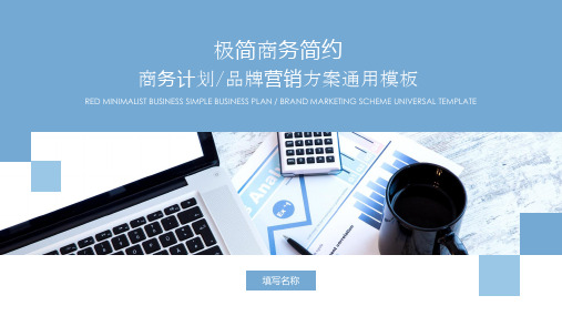 新版淡蓝极简商务计划通用模板