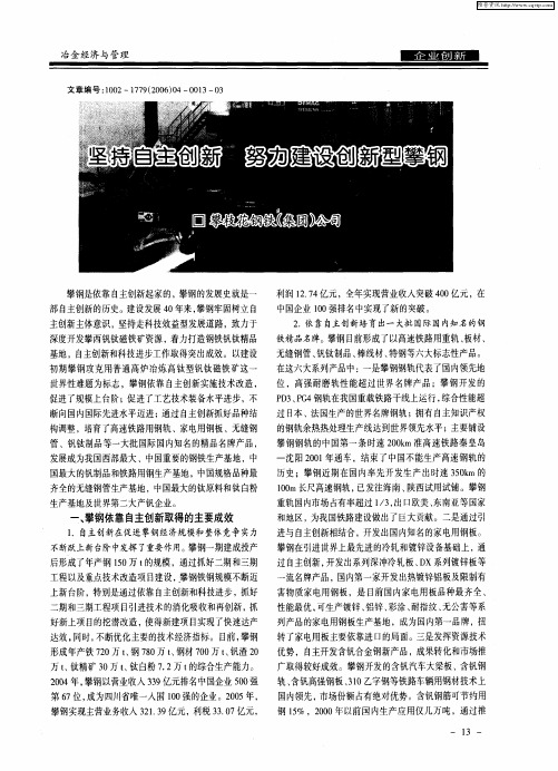 坚持自主创新 努力建设创新型攀钢