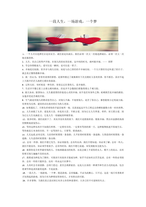 一段人生一场游戏,一个梦