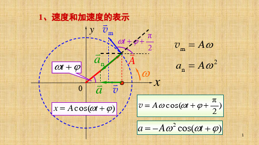 高二物理竞赛速度和加速度的表示 课件