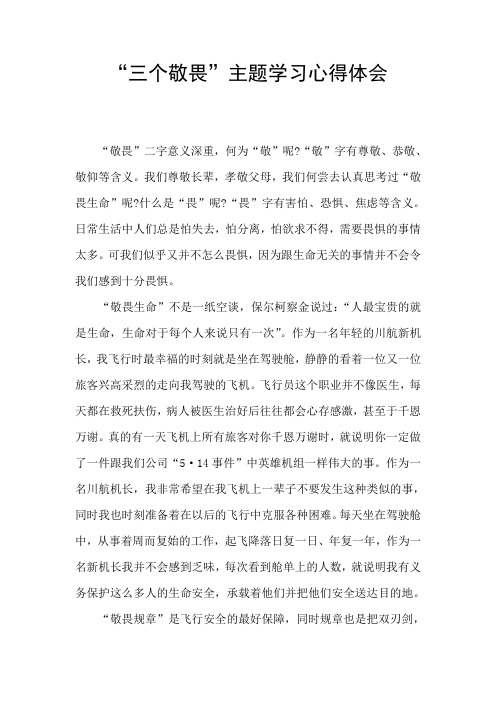 “三个敬畏”主题学习心得体会