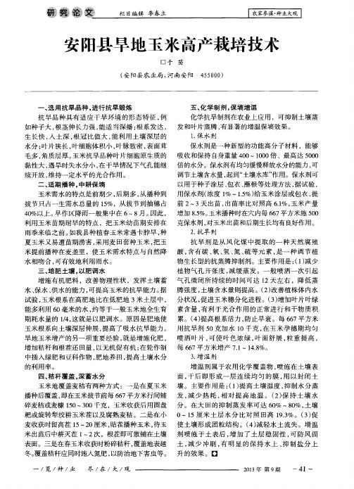 安阳县旱地玉米高产栽培技术