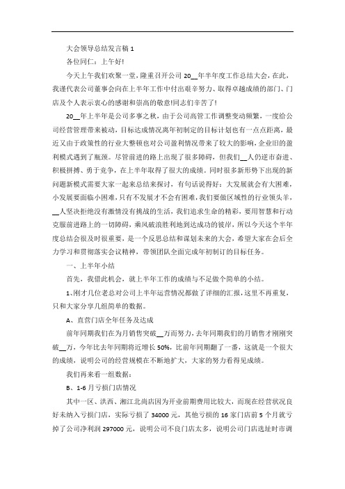 大会领导总结发言稿