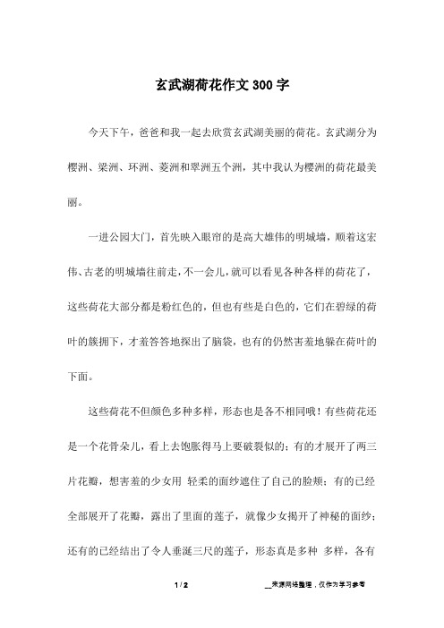 玄武湖荷花作文300字