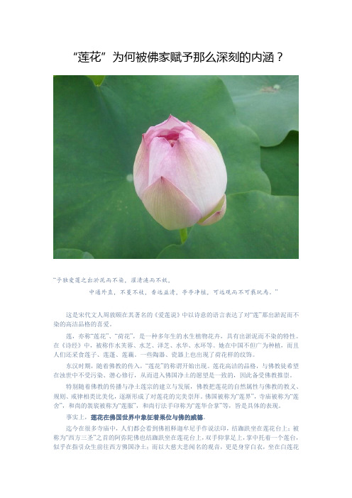 “莲花”为何被佛家赋予那么深刻的内涵？