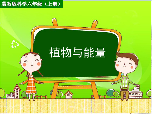 最新六年级科学上册第9课植物与能量3冀教版优选教学课件
