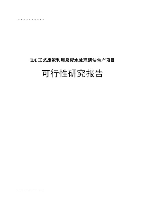 (整理)TDI工艺废渣利用及废水处理清洁生产项目可行性研究报告