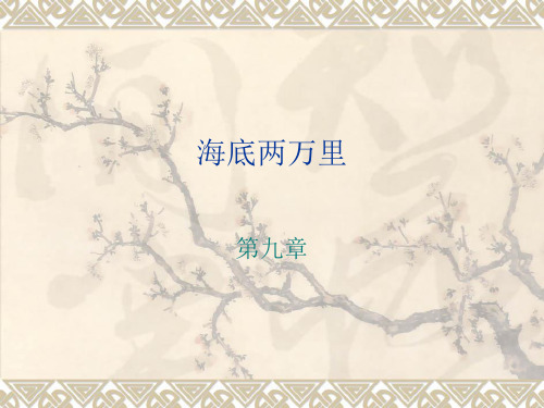 海底两万里 第九章