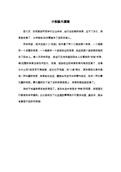 小实验大道理_叙事作文