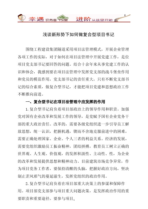 浅谈新形势下如何做复合型项目书记