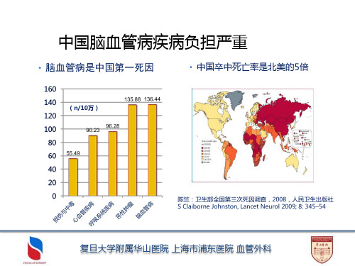 中国颈动脉内膜切除手术指导规范解读