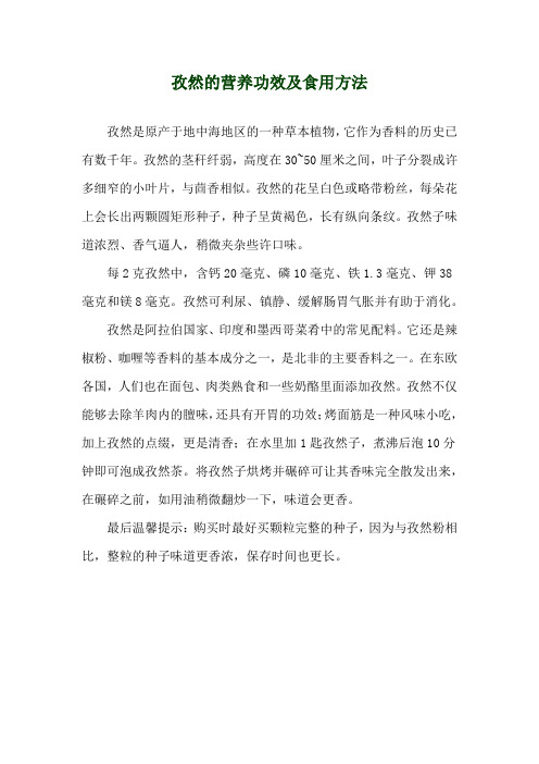 孜然的营养功效及食用方法