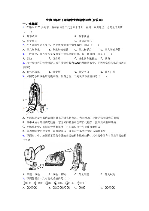 生物七年级下册期中生物期中试卷(含答案)