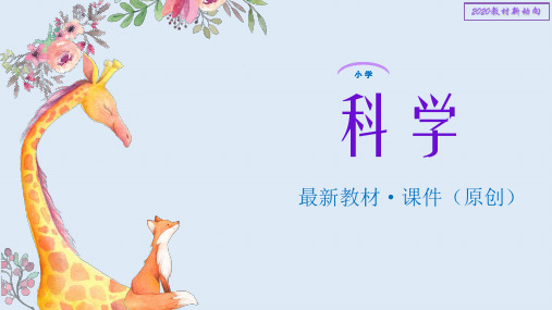 【青岛版】2020春季最新小学科学四年级下册《11 潜望镜的秘密》PPT课件 (10)