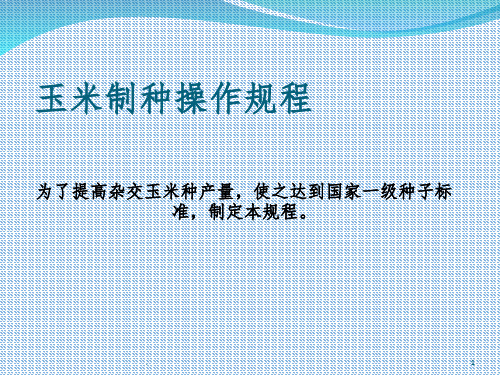 玉米制种操作规程ppt课件