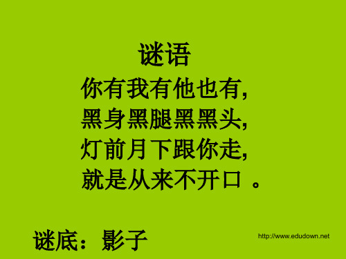 小学美术二上《百变影子》PPT课件整合