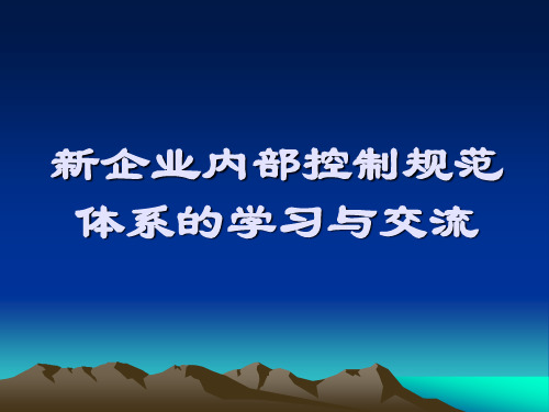 新企业内部控制规范体系的学习