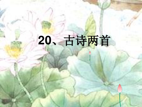 20 古诗两首 课件