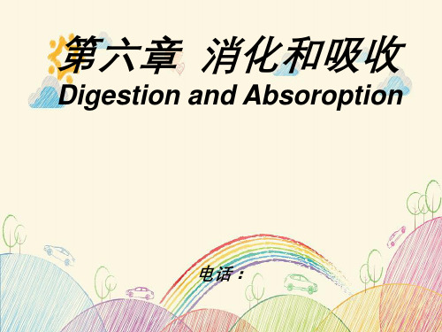 生理学第六章消化和吸收