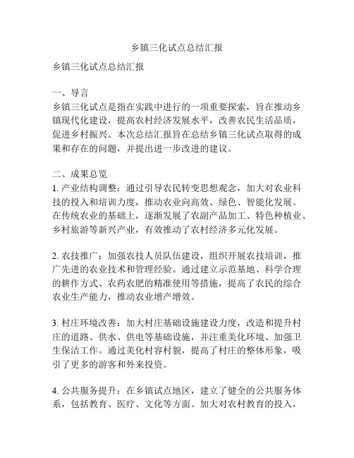 乡镇三化试点总结汇报