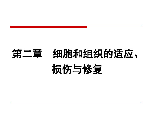 第一节细胞和组织的适应