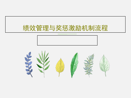绩效管理与奖惩激励机制流程91页PPT