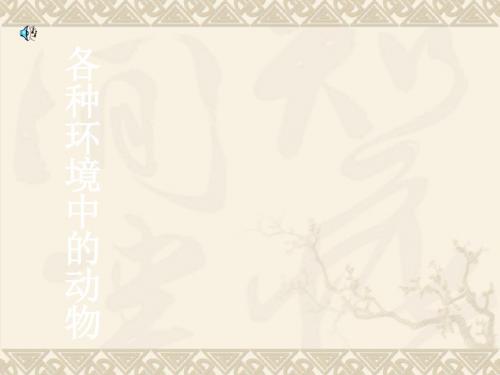 初中八年级(初二)生物 第一章各种环境中的动物复习课件.ppt