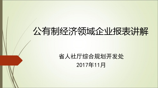 公有制经济领域企业报表讲解