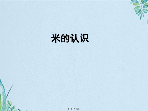米的认识用米量(共16张PPT)