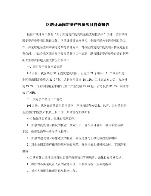 区统计局固定资产投资项目自查报告
